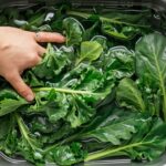 A sink filled with fresh kale leaves soaking in cold